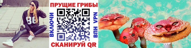 Псилоцибиновые грибы Magic Shrooms  Хотьково 